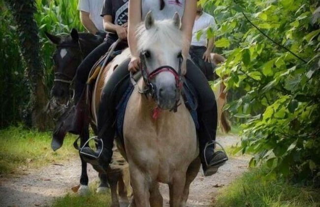 Asolo Norah's Hill Agri Rooms - Foto 82