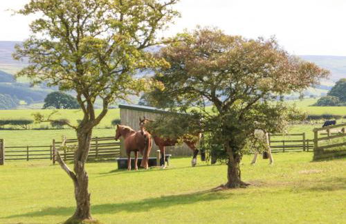 The Barn Cottage - Foto 25
