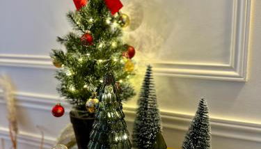 L Amiens Haussmann-Gare-Hortillonnages-Centre-ville-WIFI - Foto 2