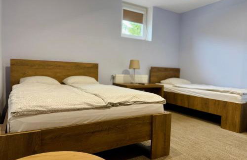 Restauracja IBIZA - Foto 51