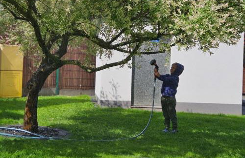 Sielskie Sitno - Foto 52