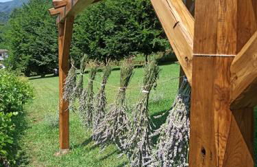 IL Bosco di Campo Marzano Sunlight - Foto 60