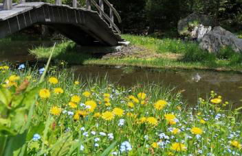 Maison Chez Les Roset - Foto 48