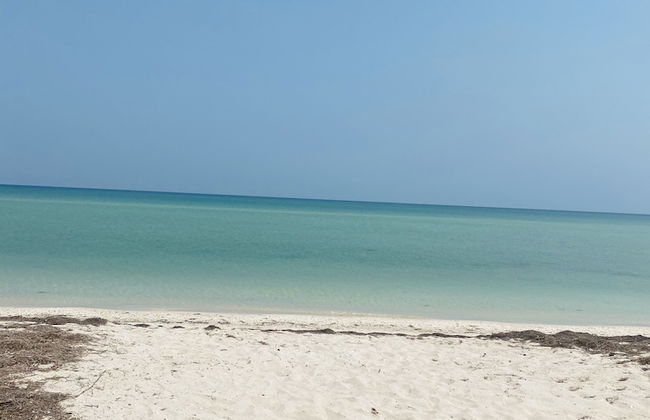 Entire House on the Seashore in Chicxulub Puerto, Yuc, Riviera Yucateca Mex - Photo 40