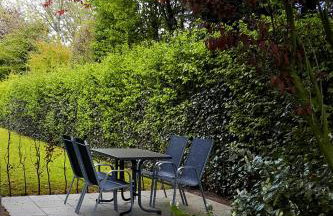 FeWo Grafschaft - Foto 8