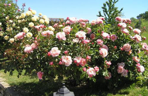 Cascina Curairone - Foto 8