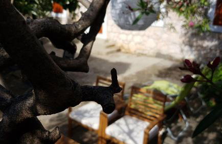 Holiday Home Shangri-La - Photo 43