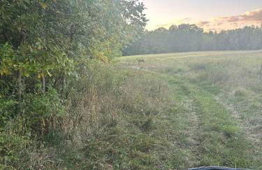 Trebuchet Unit 3 - Foto 8