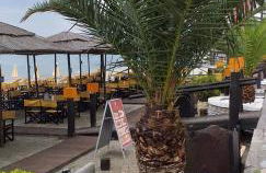 Oniro Rooms & Suites - Foto 14