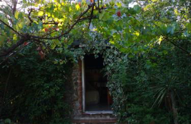 Pinnettu sardo tipica abitazione sarda in ecosistema insetti e animaletti simpatici in condivisione bagno esterno a 10metri Leggere attentamente Prima di prenotare - Foto 77