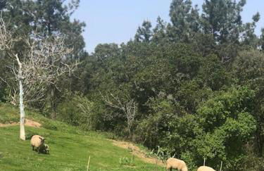 Quinta da Casa Azul - Foto 8