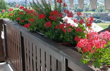 L'Atelier du Temps - La Sarrolein - Foto 18