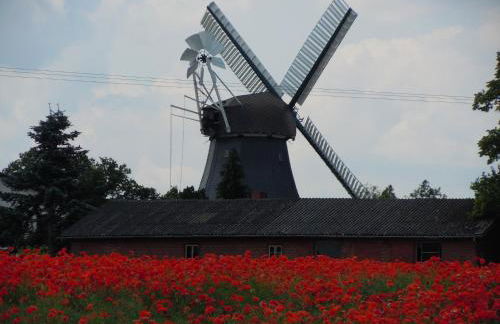 Ferienwohnung Marina Wendtorf App. 6110 - Foto 45