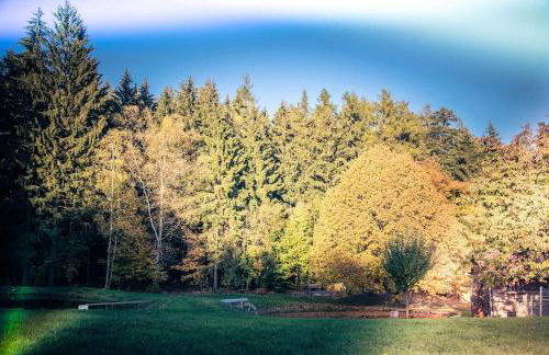 Ferienhof Stöhrmühle - Foto 45