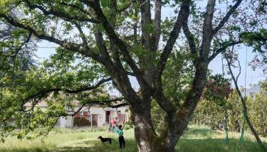 Clef Secrète - Photo 3, Garden