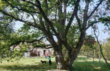 Clef Secrète - Foto 3