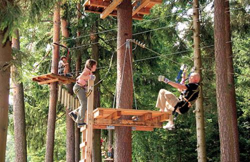 Ferienhaus Sylvia beim Waldrand - Foto 38