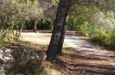 Les Ribas villa groupe, de 4 a 14 personnes, maison familiale, séjour nature, calme, Provence, Plaine des Maures, proche mer, Verdon, randonnée, terrain arboré, jeux enfants, pétanque, ping-pong, cuisine équipée, grande capacité, vacances en groupe - Foto 49