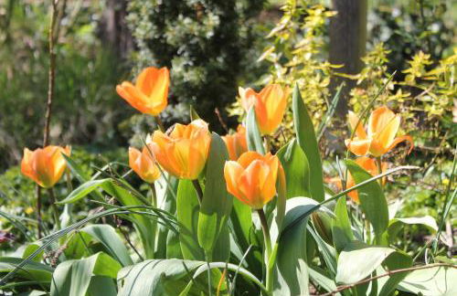 Maison Mille Fleurs - Foto 34