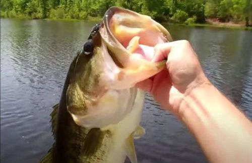 Cozy cottage in the heart of pocono - Foto 72