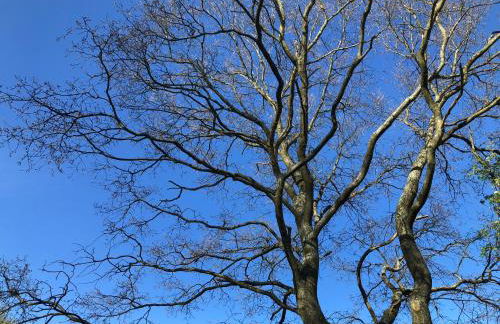 PentArtHouse - Foto 74