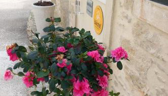 Studio Zambujinha - Foto 2