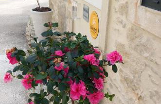 Studio Zambujinha - Foto 2