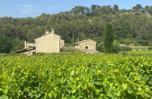 La Manaude - Photo 39