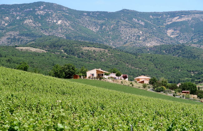 Les Hauts de Jallia - Foto 30