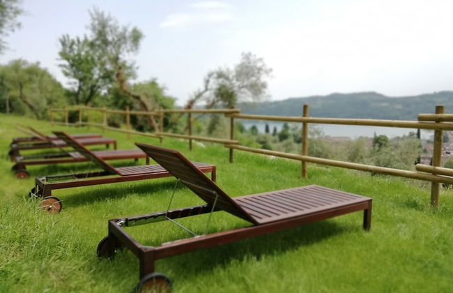 Agriturismo Podere Nigriano - Foto 29