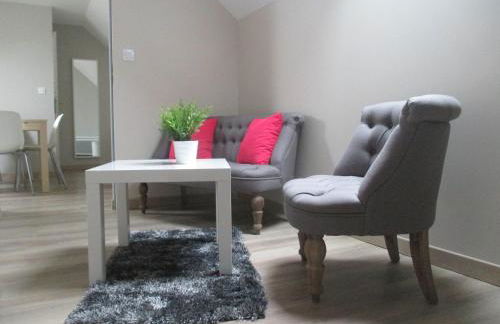 Studio & Gîte Zen de Beauval- 800 m du Zooparc - Photo 21