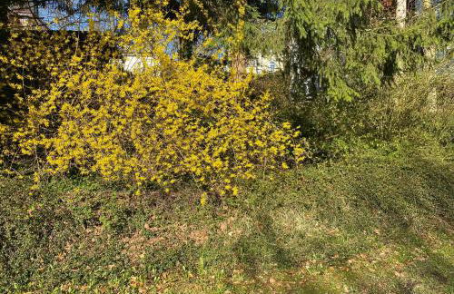Ferienwohnung Sternenhimmel - Foto 17