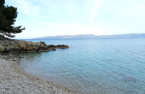 4 Roses Apartment - Photo 33