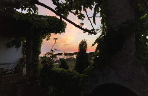 Villa Giulia - Foto 23