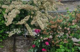 Penelope's Guest House - Foto 30