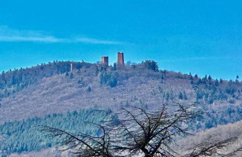 A2 pas de Colmar terrasse,parking - Foto 34