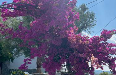 Agape Studios - Foto 55