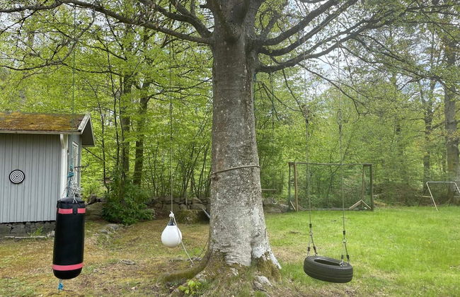 6 Person Holiday Home in Ronneby-by Traum - Photo 21