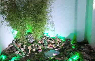 CASA CUEVA EL OLIVO - Foto 20