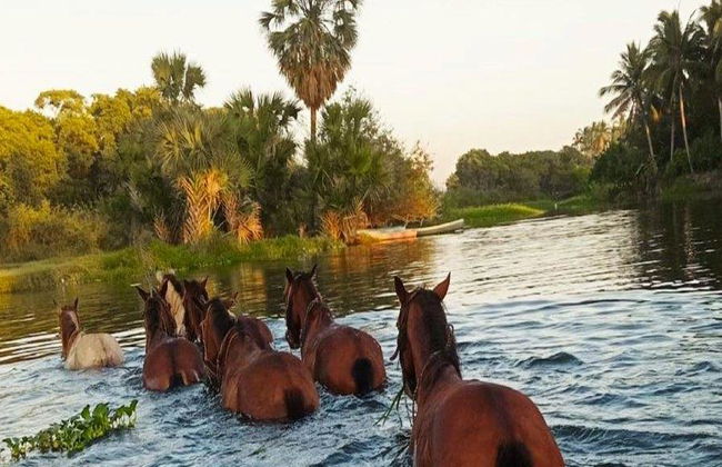 Aventura a caballo por las piscinas termales - Tour de medio día - Foto 1