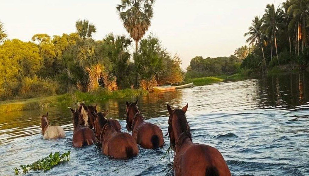 Aventura a caballo por las piscinas termales - Tour de medio día - Foto 1