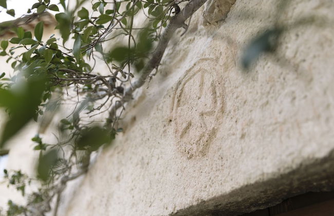 Castel di Luco - Foto 32