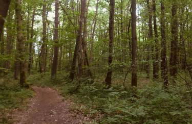 Joli Studio Plein Centre de Milly la Forêt - Foto 6