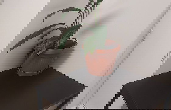 Vus Home-apartman Junior 30m2 - Foto 11