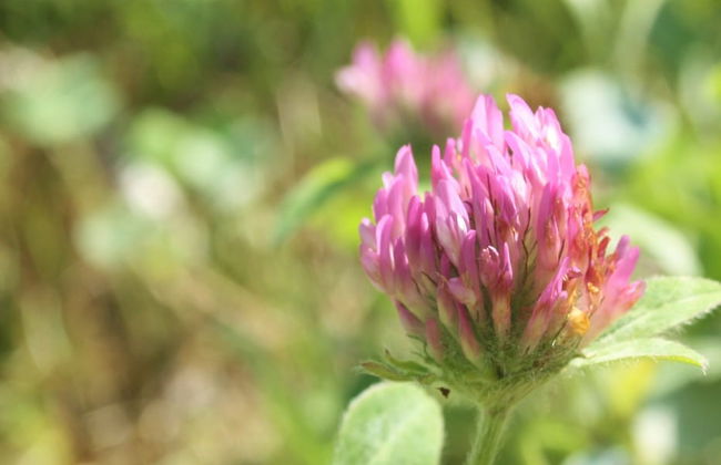 Mountain View Resort - Photo 23