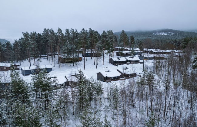 Vesterland Feriepark Cabins & Apartments - Foto 51