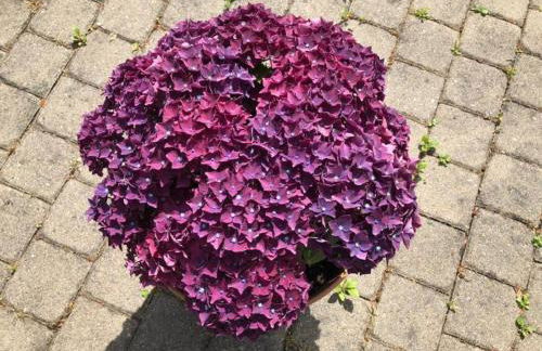 Apartmenthaus Zeuthen - Foto 38