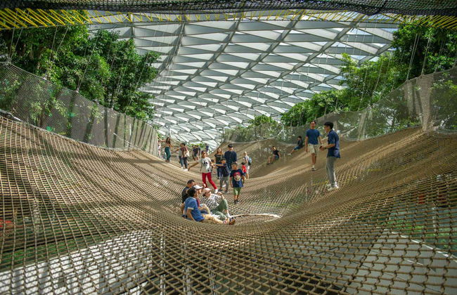 Entrada al Canopy Park del aeropuerto de Singapur - Foto 5