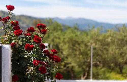 Villa Kounoupas, comfy villa with swimming pool up to 8 guests! - Foto 27