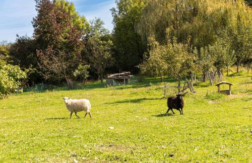 Gîte Le Bouton D'or 8min Puy du Fou - Foto 22